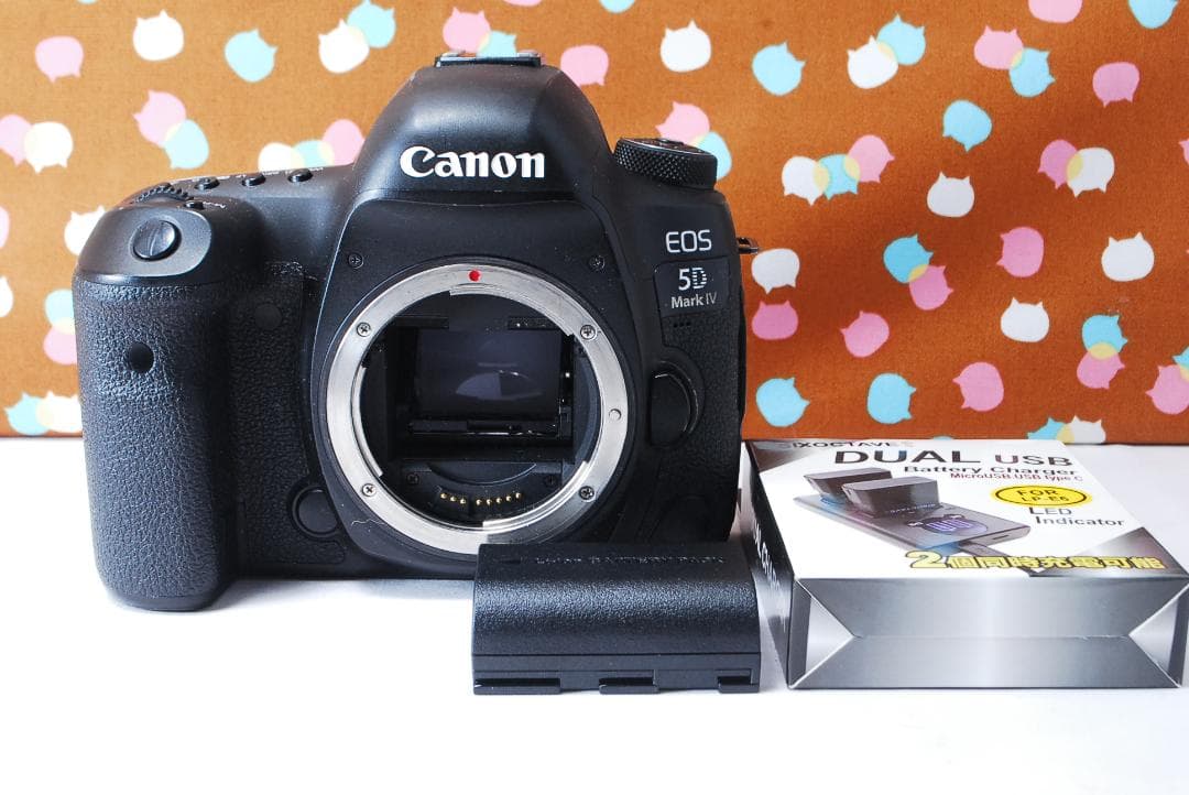 ✨超高性能✨ハイスペック機✨Canon 5D Mark Ⅳ