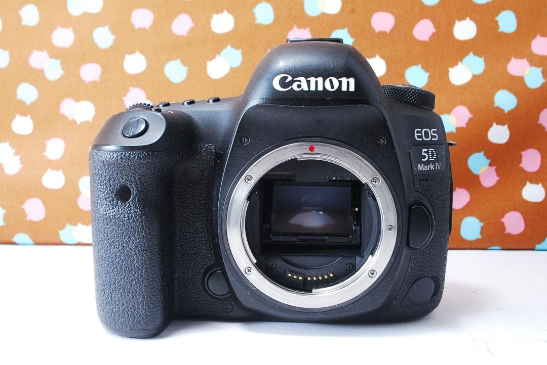 ✨超高性能✨ハイスペック機✨Canon 5D Mark Ⅳ