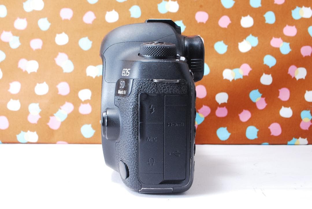 ✨超高性能✨ハイスペック機✨Canon 5D Mark Ⅳ