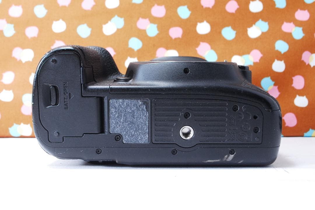 ✨超高性能✨ハイスペック機✨Canon 5D Mark Ⅳ