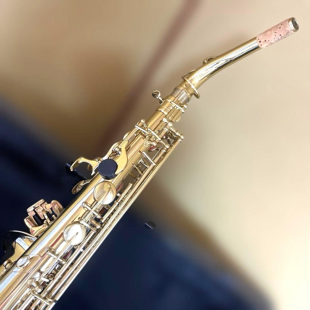 【極美品】SELECTION セレクション アルトサックス ハードケース付き