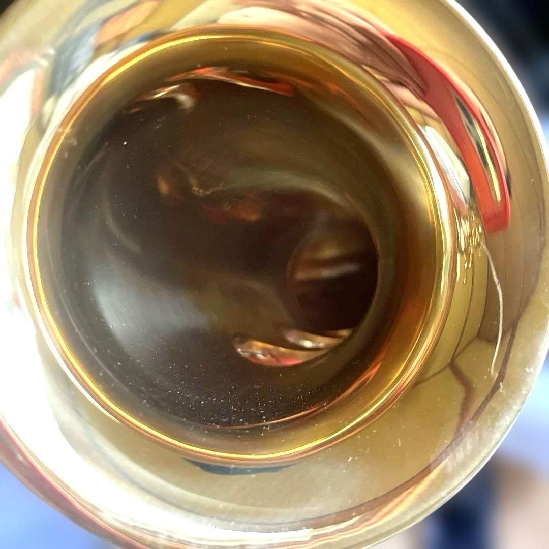 【極美品】SELECTION セレクション アルトサックス ハードケース付き