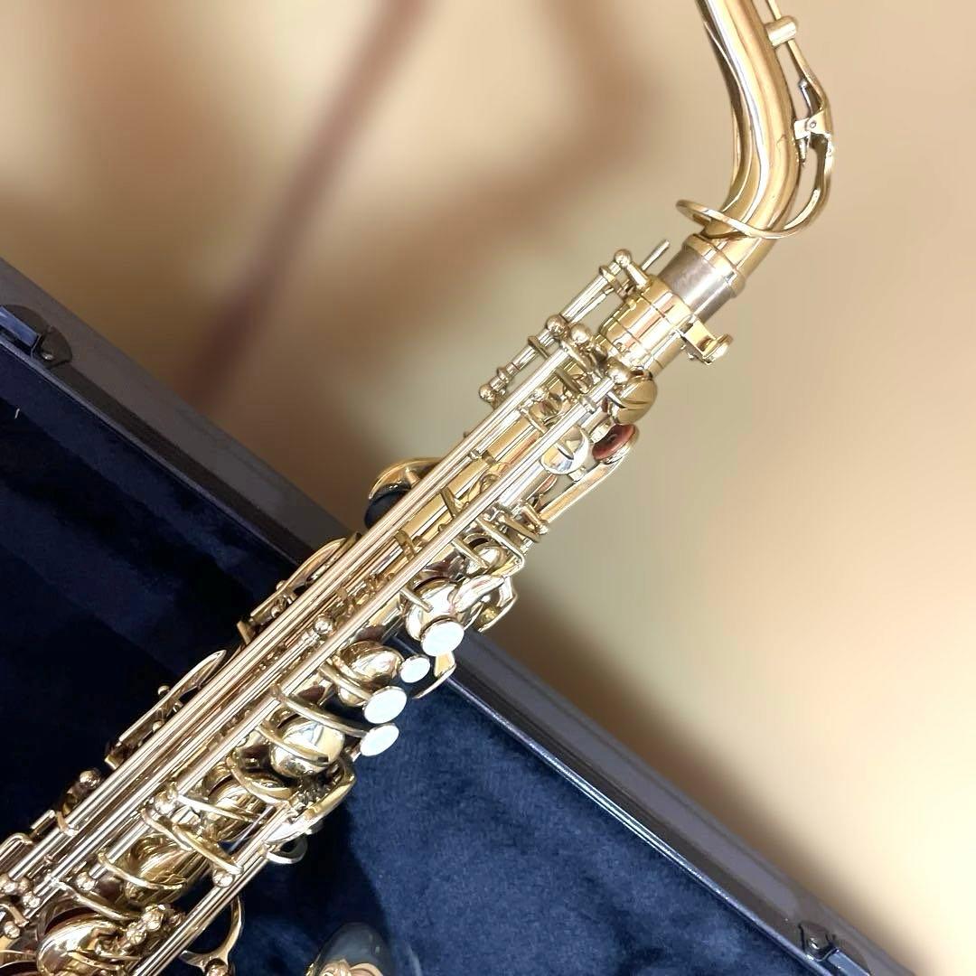 【極美品】SELECTION セレクション アルトサックス ハードケース付き