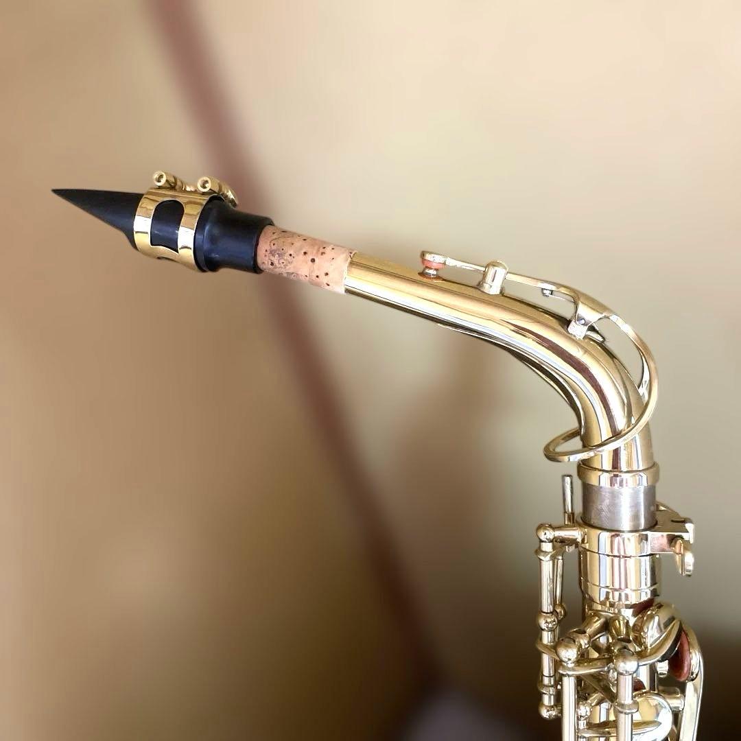 【極美品】SELECTION セレクション アルトサックス ハードケース付き