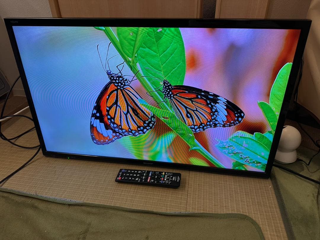 SHARP シャープ　32型　テレビ 2T-C32AE1 2019年製　超美品！