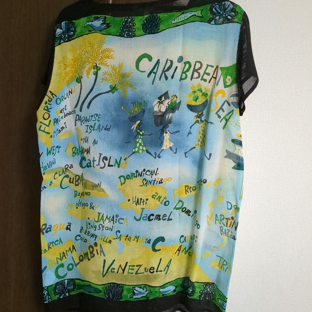 TOKUKO 1er VOL　チュニック　シースルー　黒　カラフル　半袖