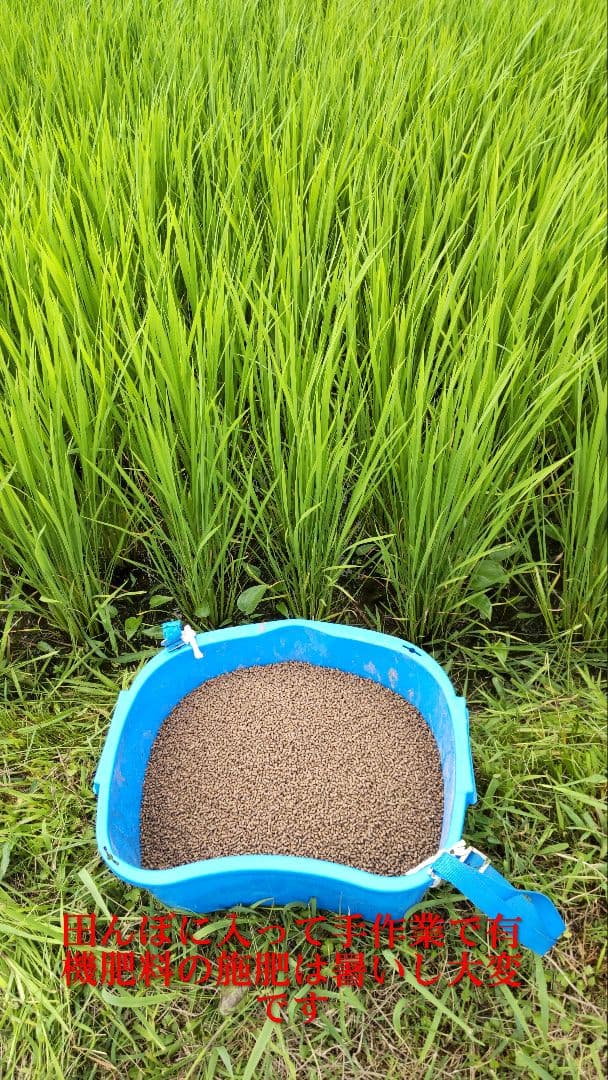 手取り除草は全国で一人だけ ７年産コシヒカリ 玄米10kg 特別栽培①農薬不使用