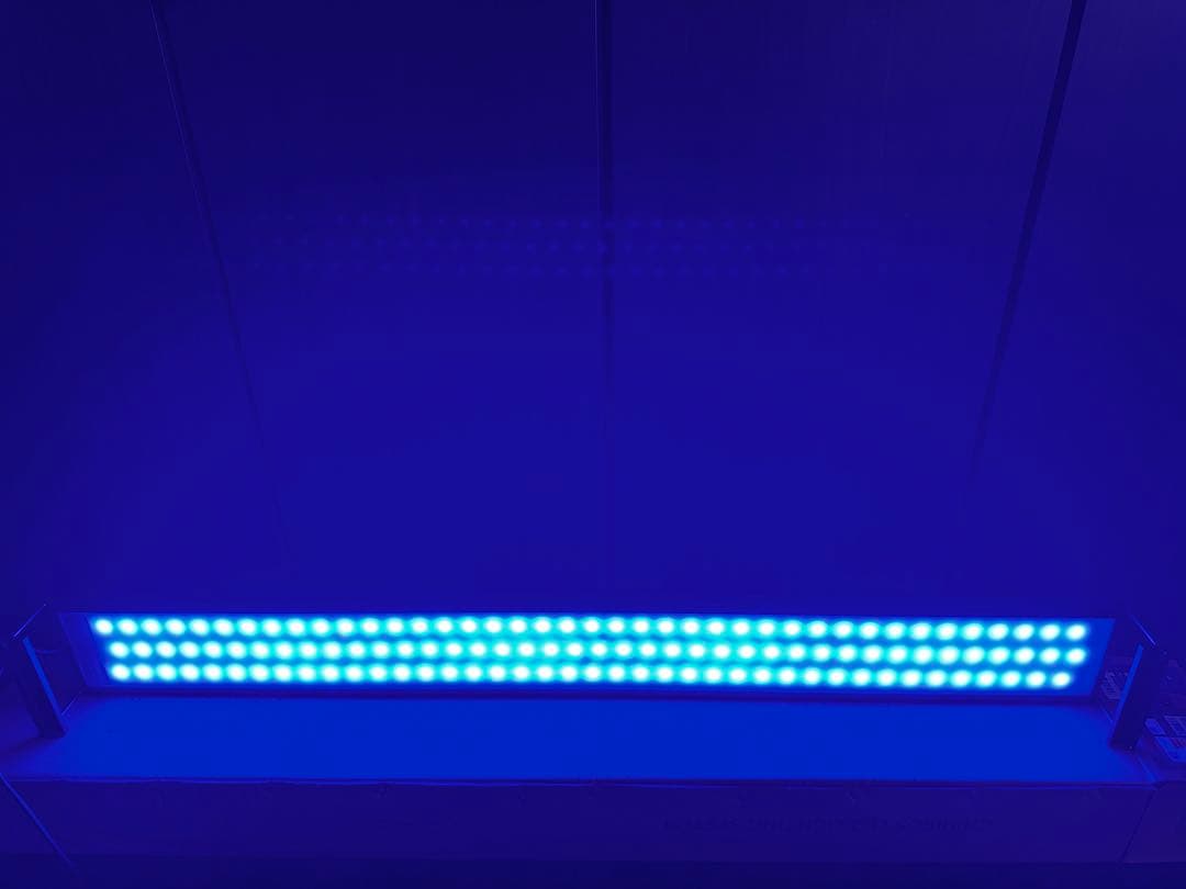 ス*ラ様 chihiros WRGB2 120 10th edition チヒロ