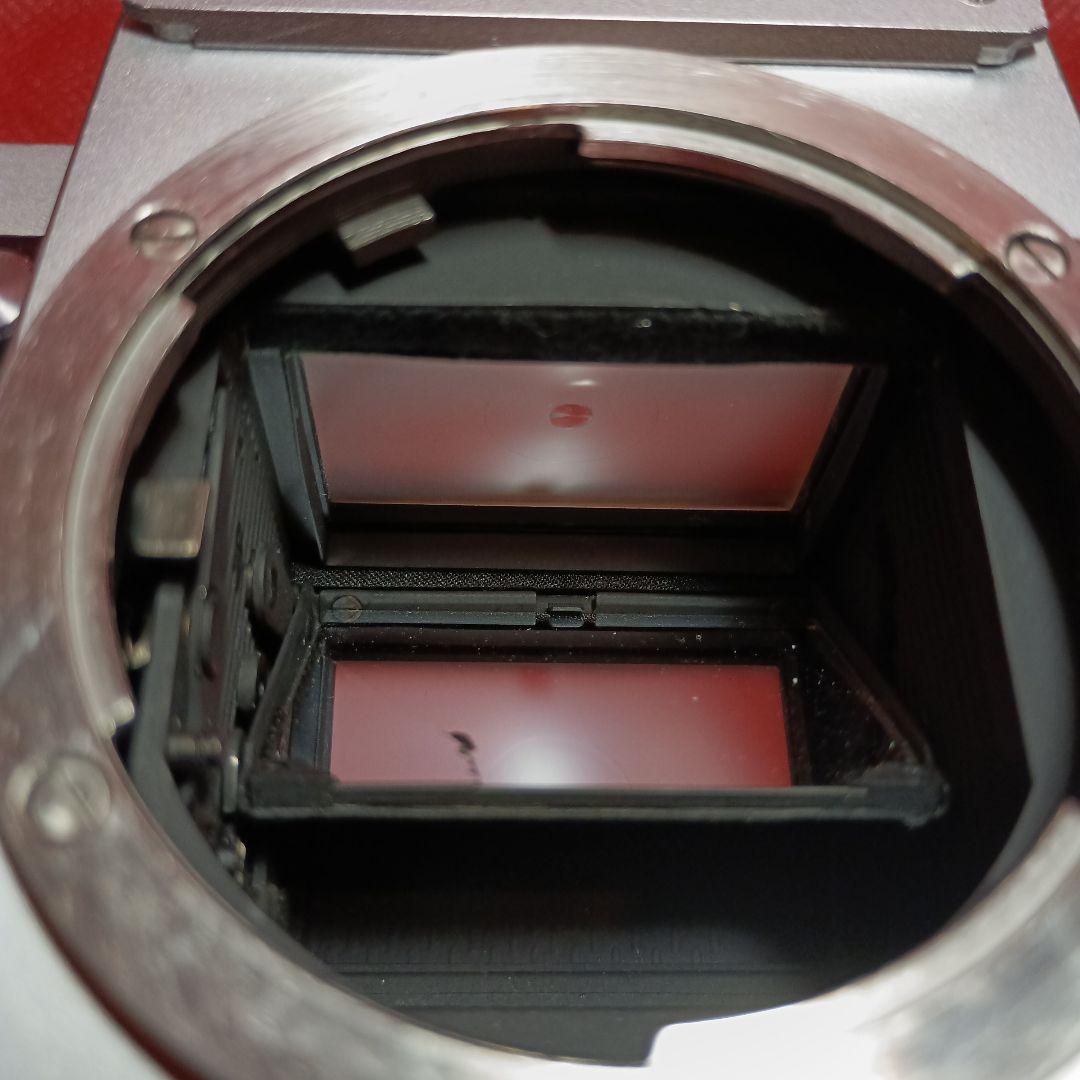 Nikon F 一眼レフカメラ 35mm Nikkorレンズ付き