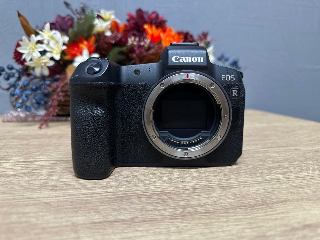 【付属品あり】Canon EOS R ミラーレス一眼カメラ