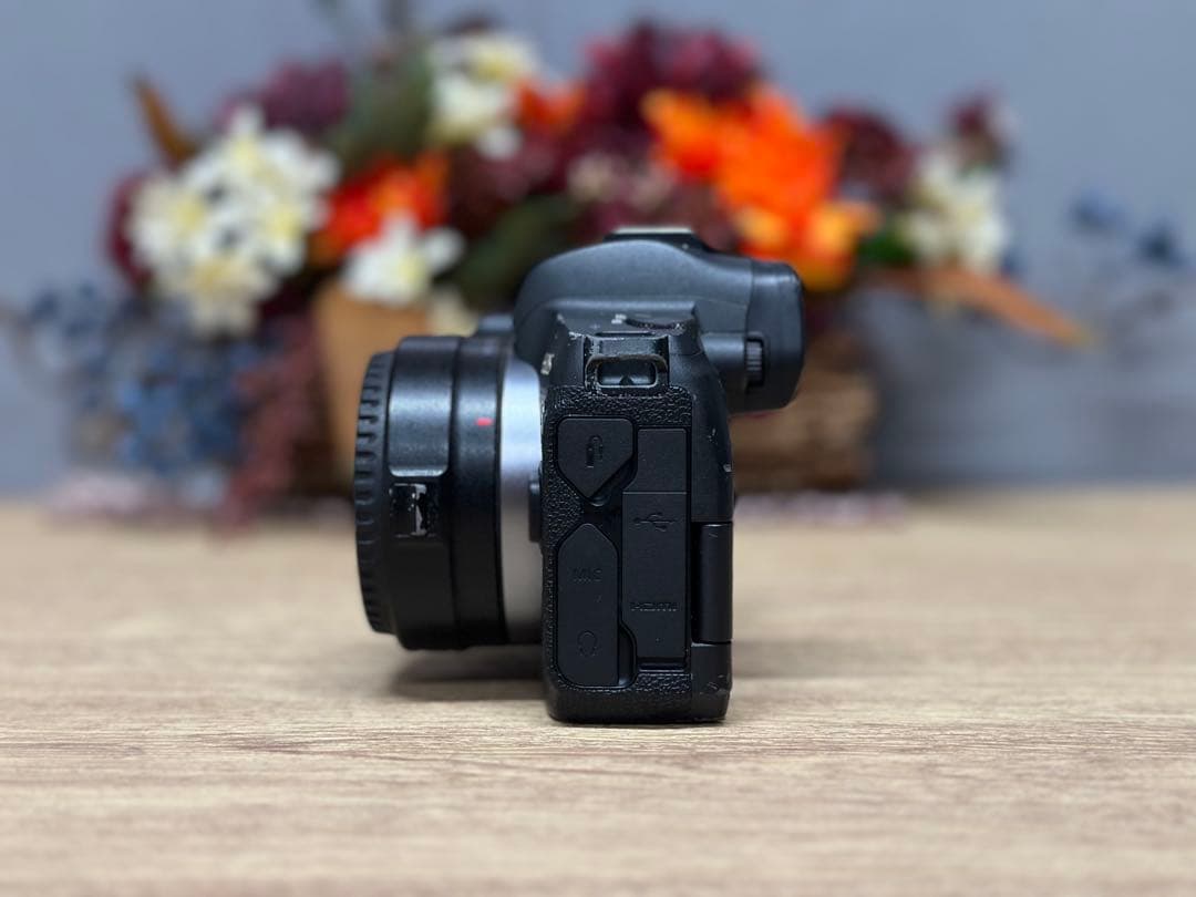 【付属品あり】Canon EOS R ミラーレス一眼カメラ