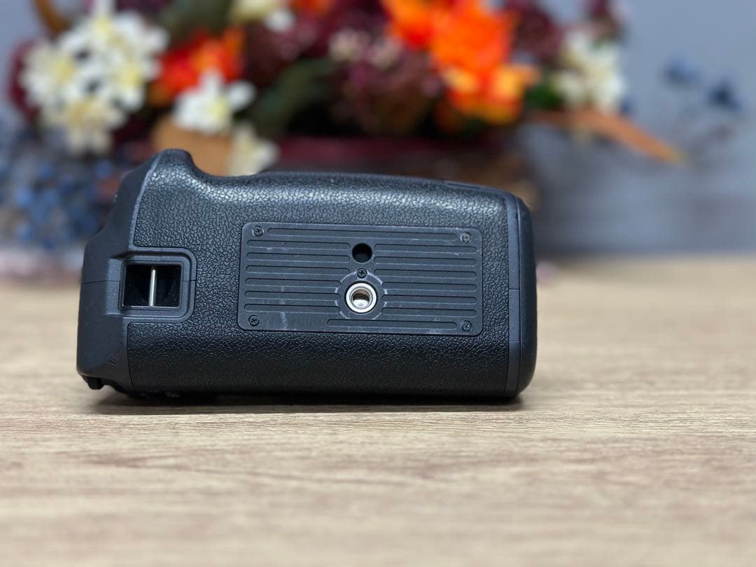 【付属品あり】Canon EOS R ミラーレス一眼カメラ