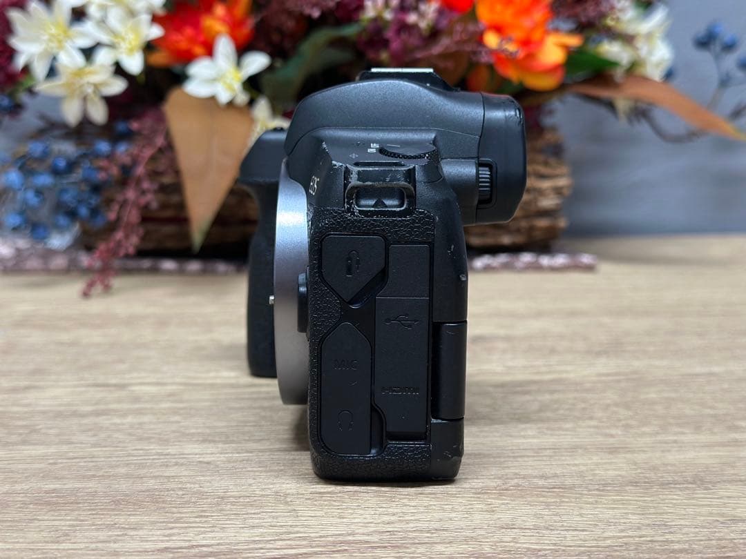 【付属品あり】Canon EOS R ミラーレス一眼カメラ