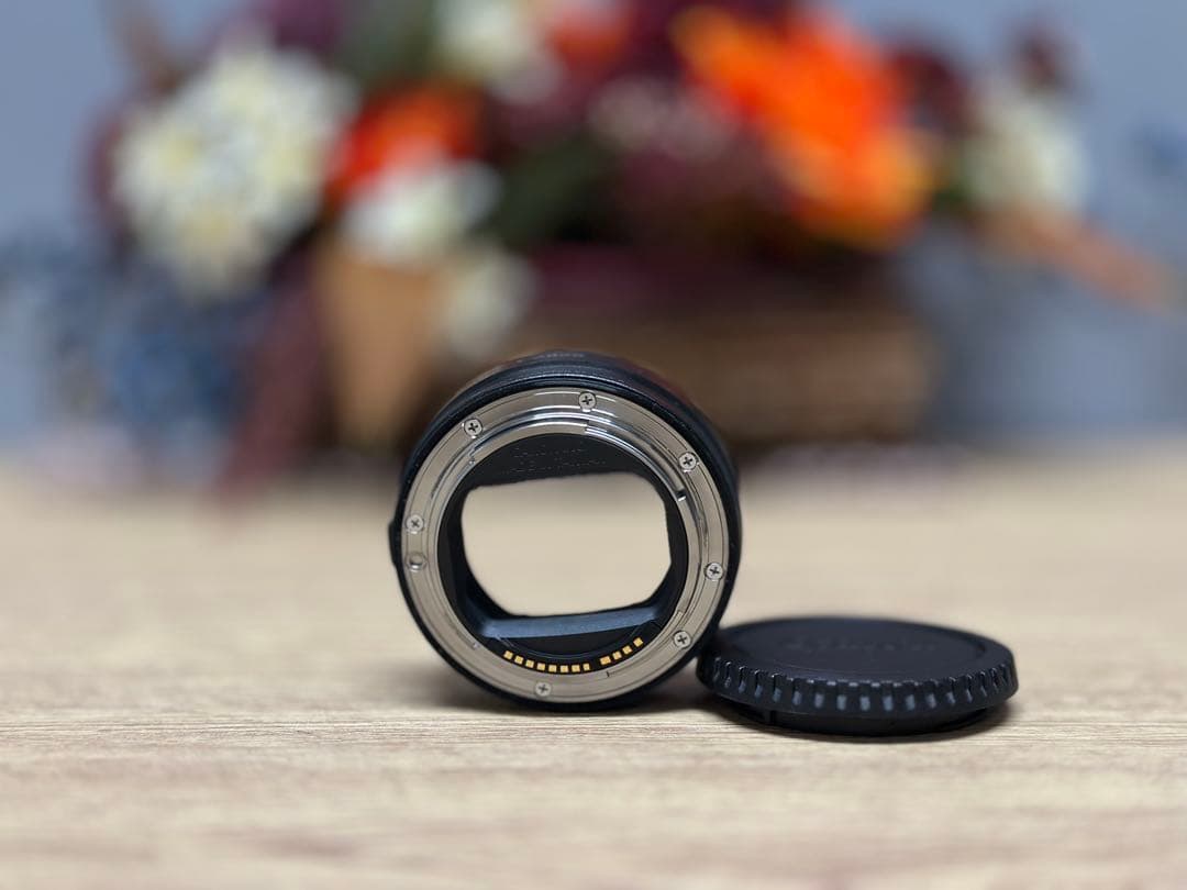 【付属品あり】Canon EOS R ミラーレス一眼カメラ