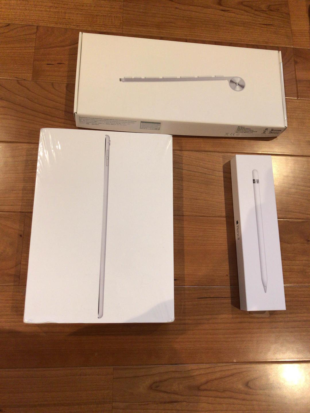 iPad Pro9.7 256GB 保証期間内 北米版SIMフリー