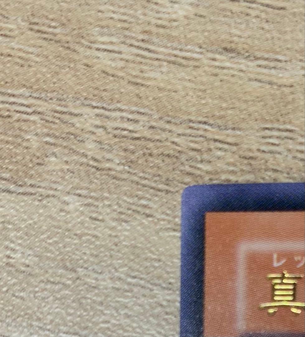 真紅眼の闇竜 レッドアイズダークネスドラゴン レリーフ 遊戯王