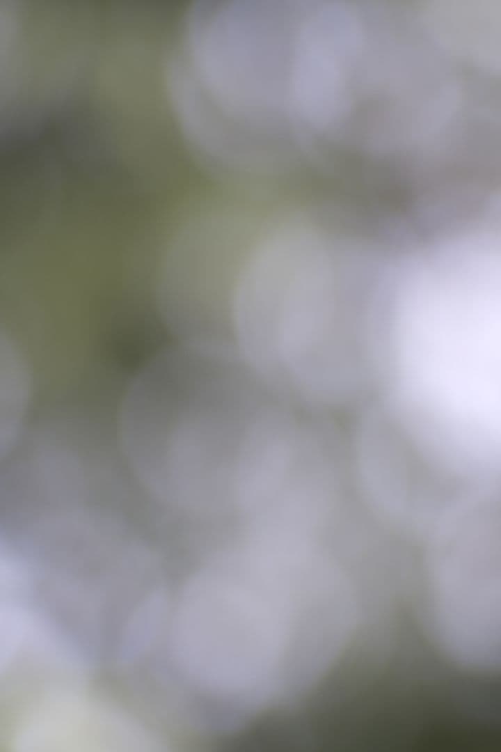 85㎜ F2 コンタレックス Zeiss ゾナー Contarex