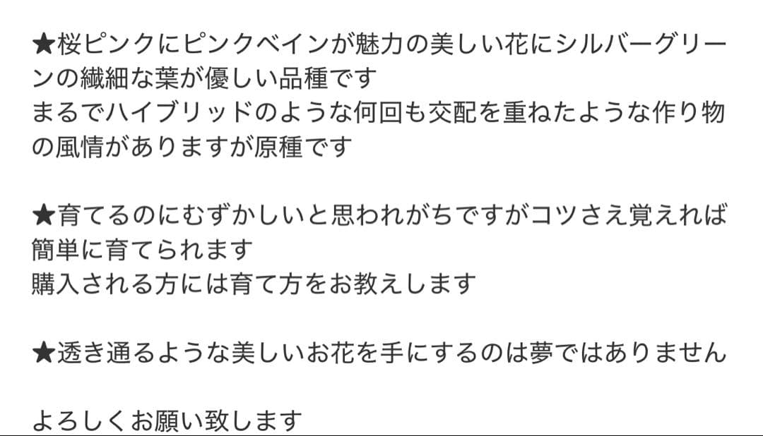 ★チベタヌス 4年苗