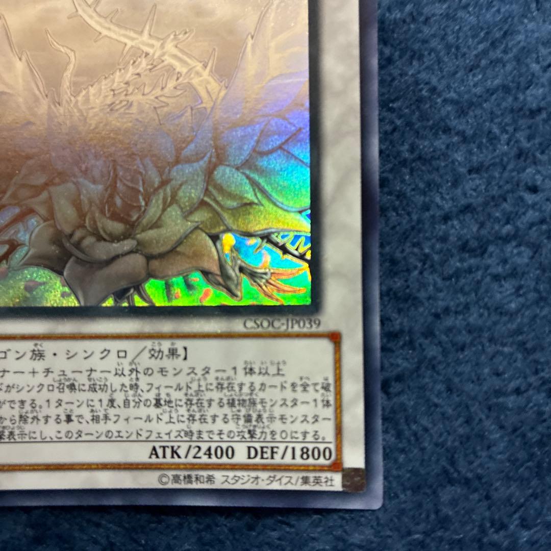 遊戯王カード　ブラックローズドラゴンホロ