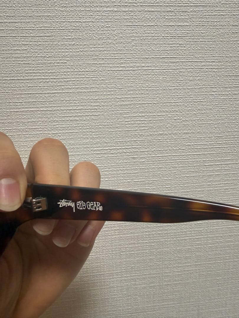 Stussy べっ甲 LANDONサングラ