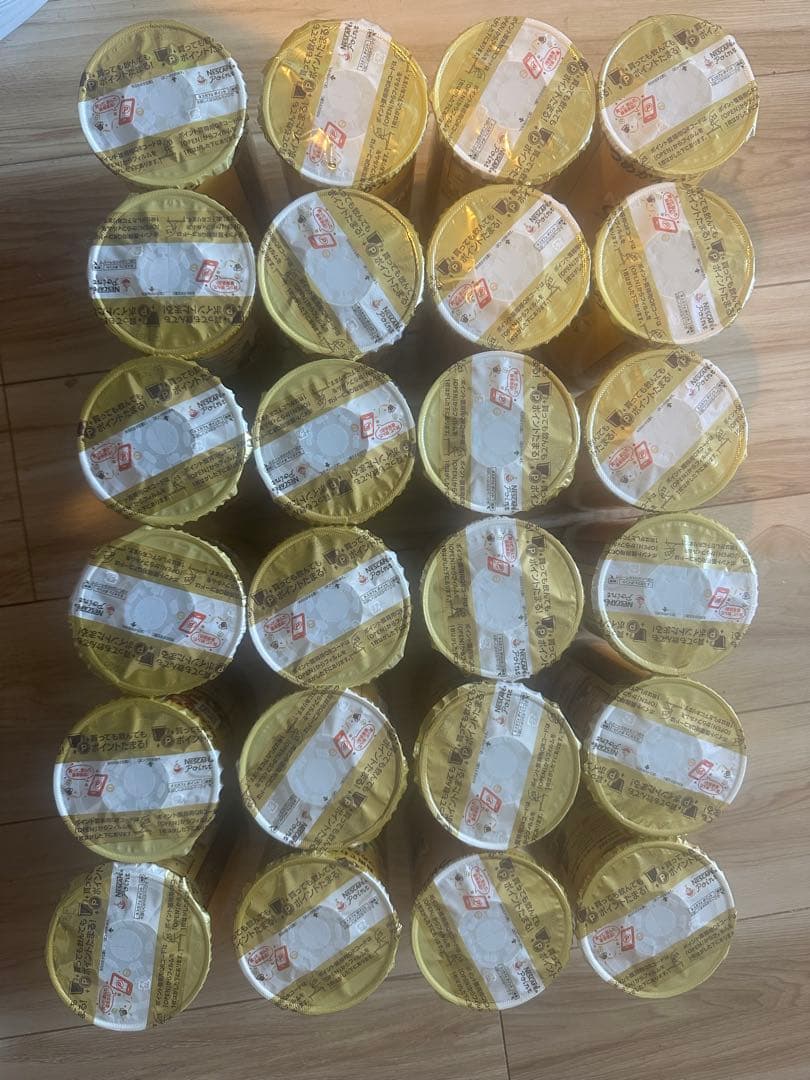 ネスカフェ ゴールドブレンド エコ＆システムパック 95g ×24缶