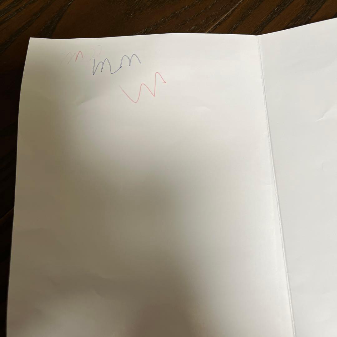 BAKUNE 掛け布団 ウォーム 冬用掛け布団　シングル　グレー　12月購入