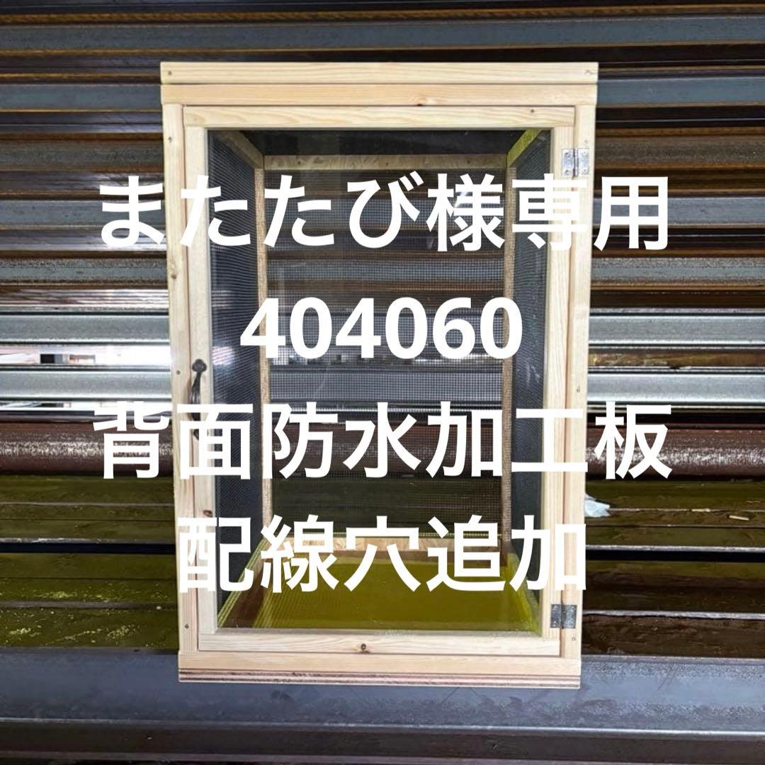 またたび　404060