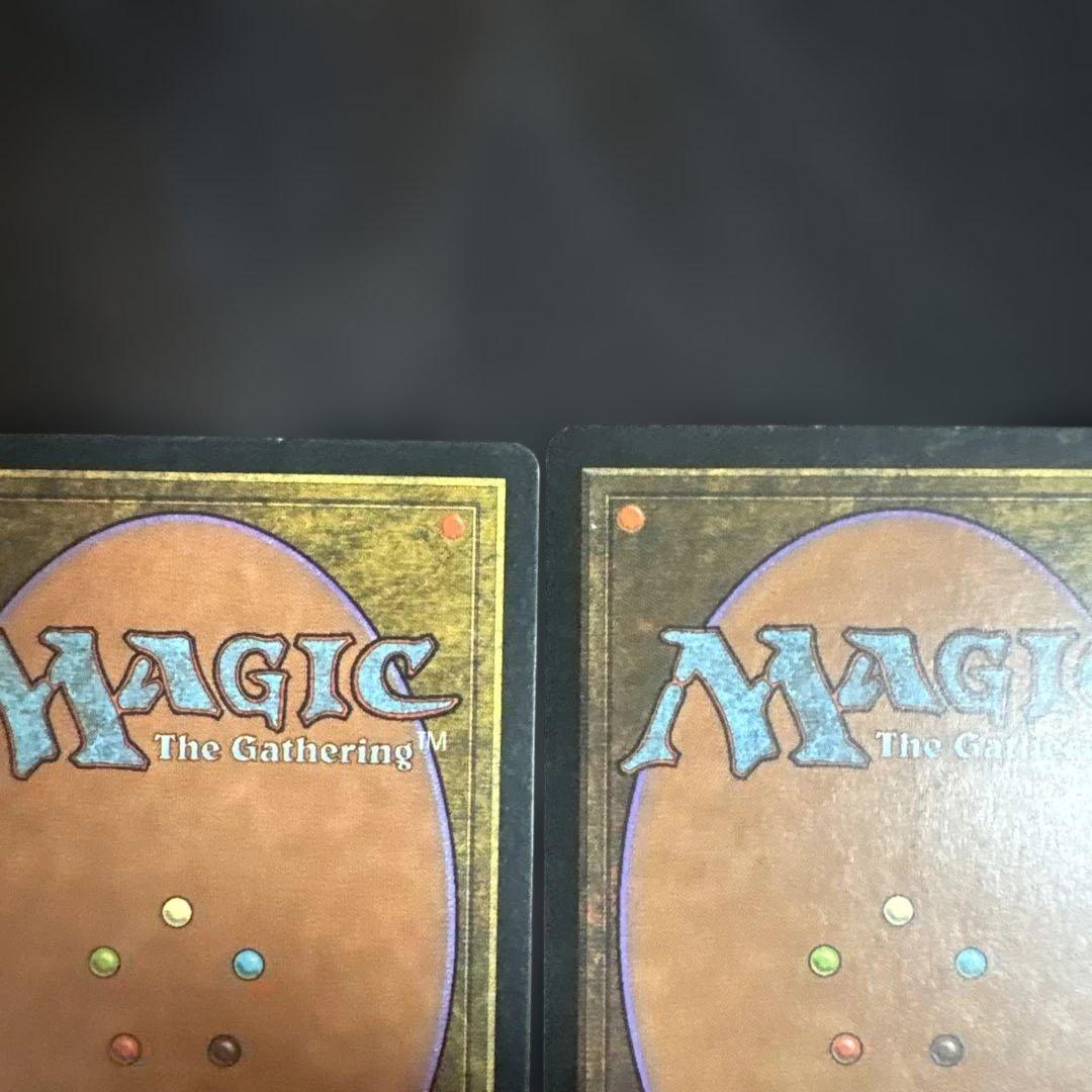 MTG 肉占い 日本語版4枚セット