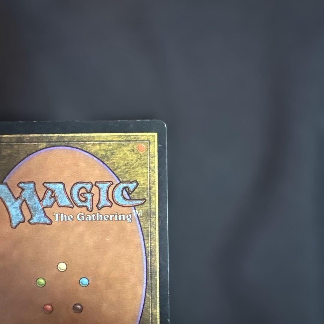 MTG 肉占い 日本語版4枚セット