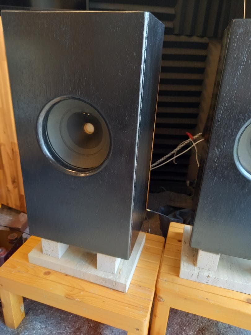 た*ん様 GRAETZ 8インチ 励磁型スピーカー