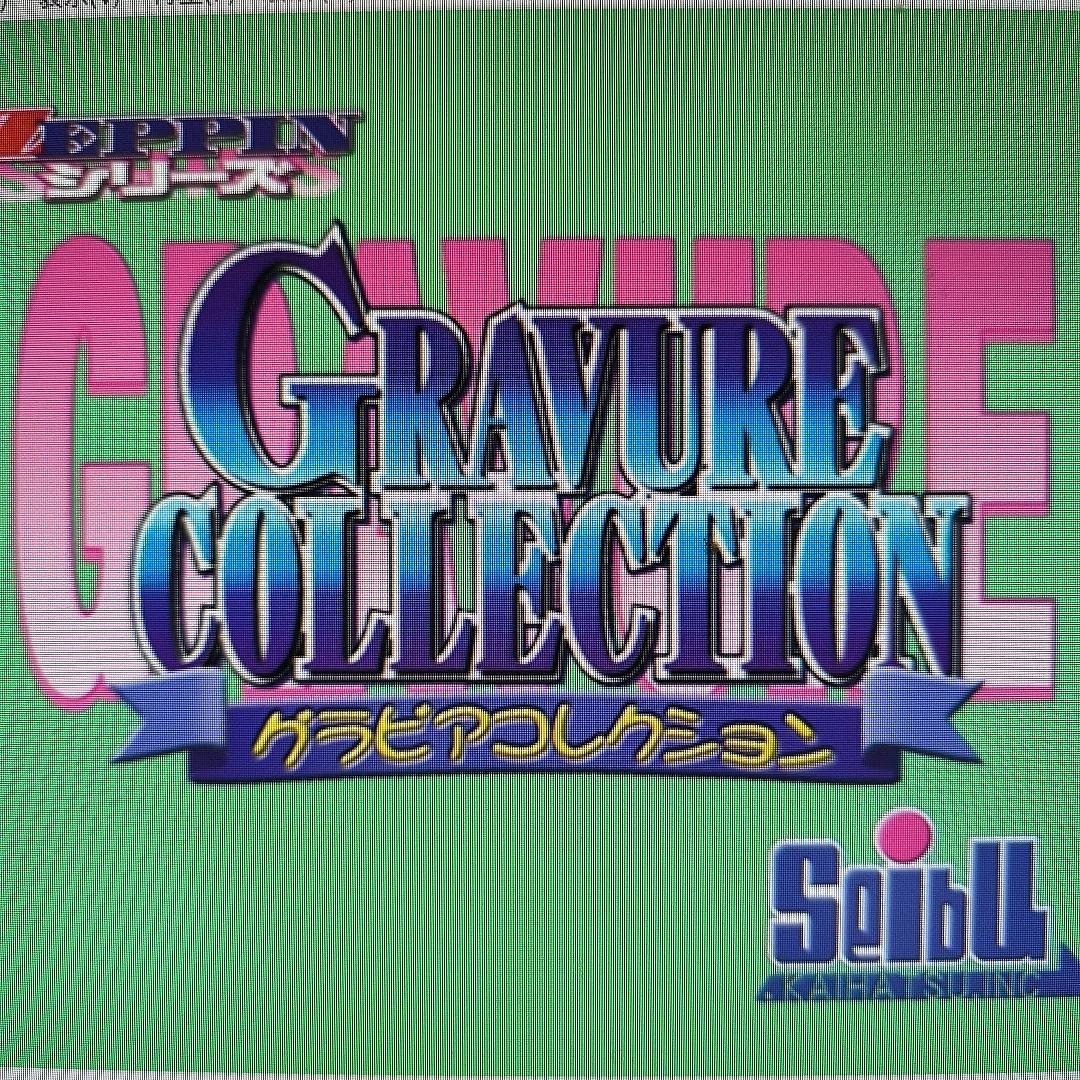 パズルアクション　眞鍋かをり グラビアコレクション. セイブ開発　ディスクのみ