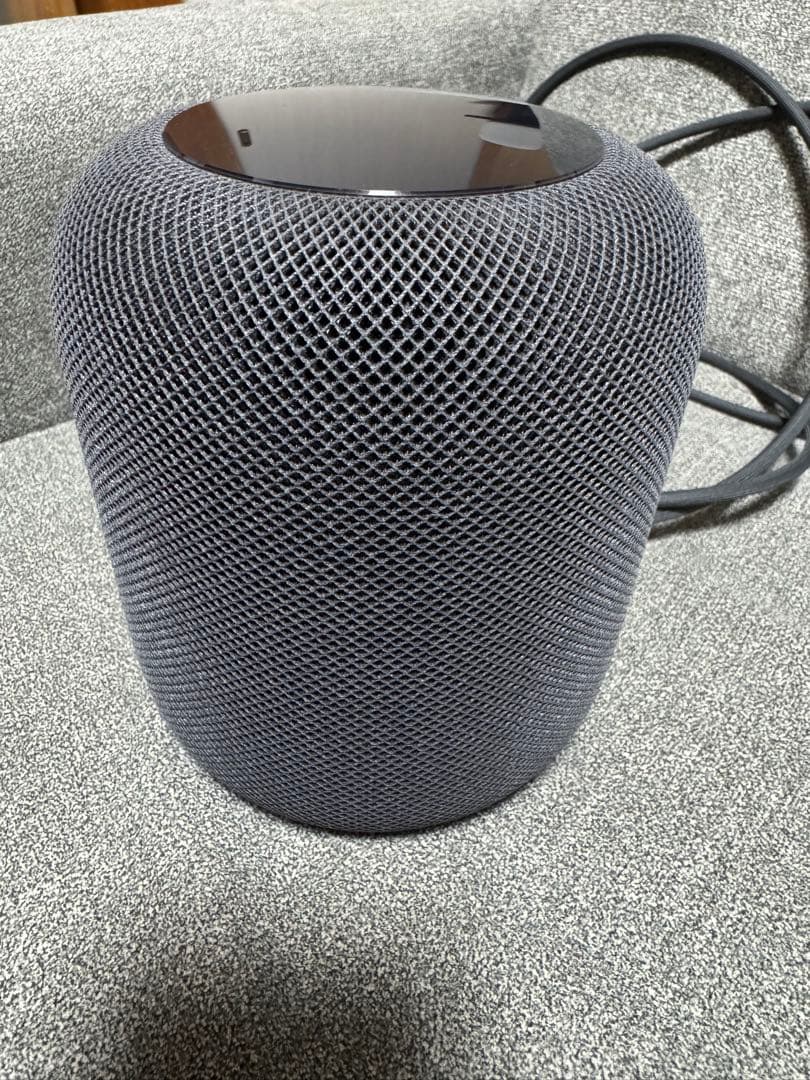 【ジャンク品】Apple Pod（第1世代） スペースグレー