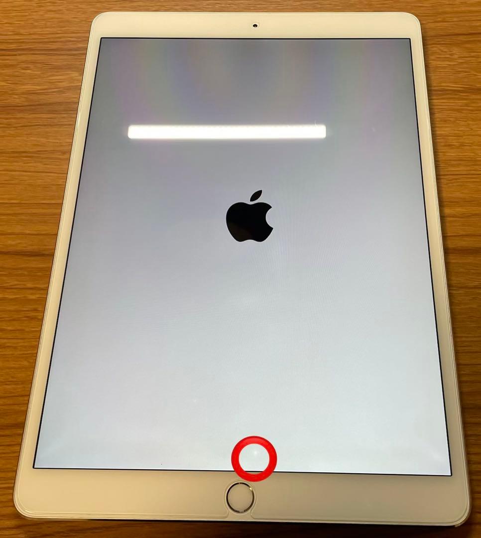 iPad Pro 10.5インチ 256GB シルバー A1701 Wi-Fi