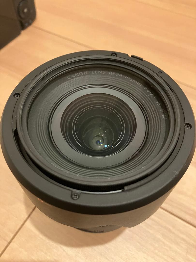 Canon EOS R6 Mark II + RF 24-105 レンズキット