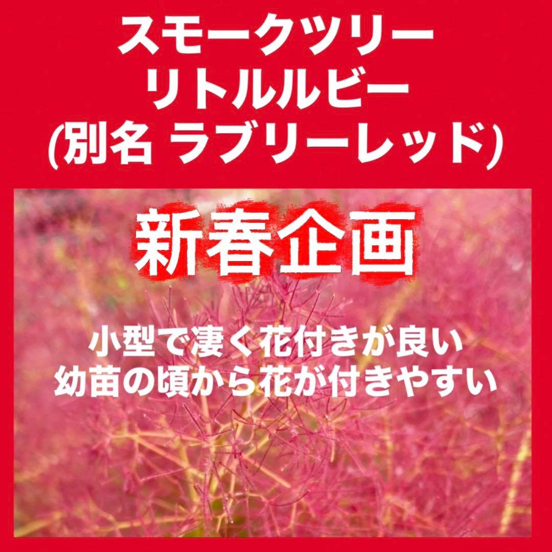 おまとめHirahira様 リクエスト 5点