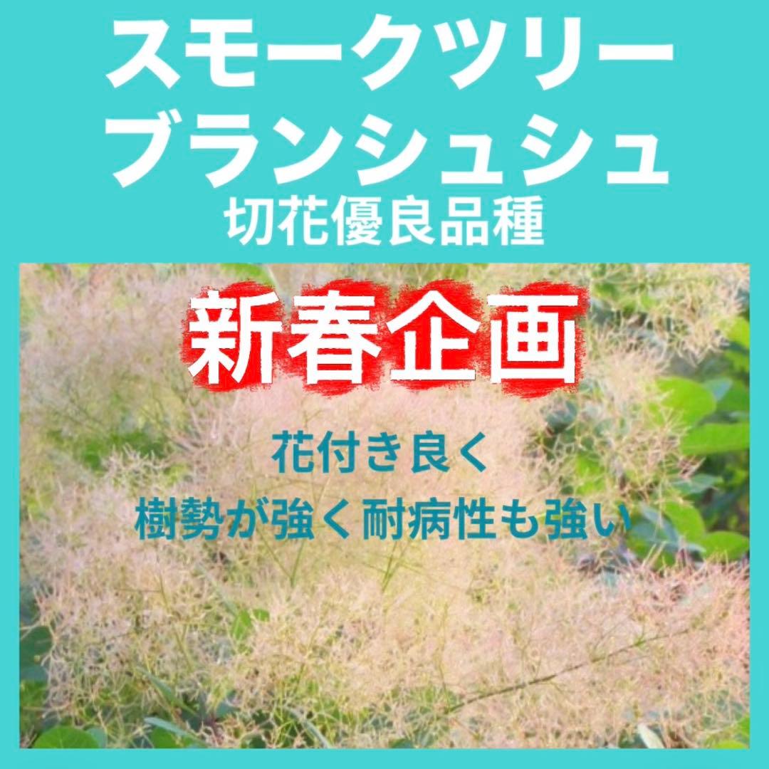 おまとめHirahira様 リクエスト 5点
