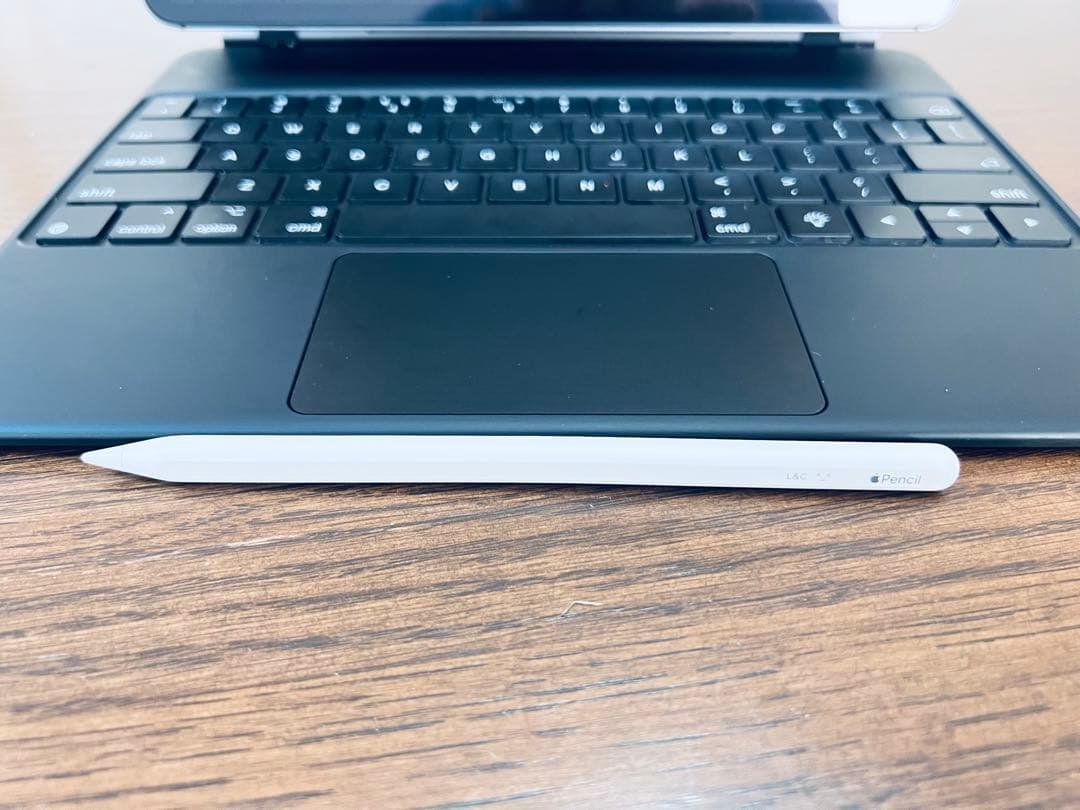 iPad本体 iPad Pro2018+pencil