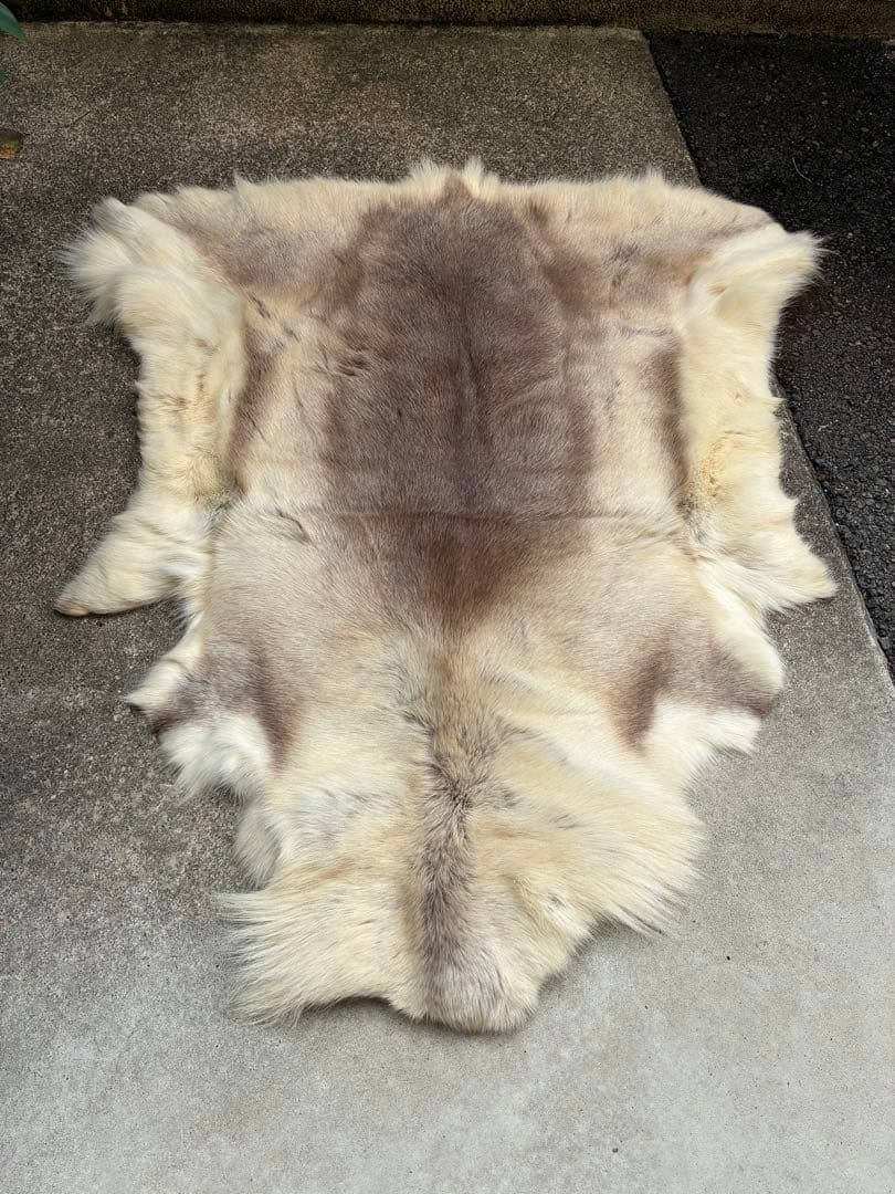 トナカイ　毛皮　敷物　ラグ　北欧　インテリア　ブッシュクラフト　キャンプ