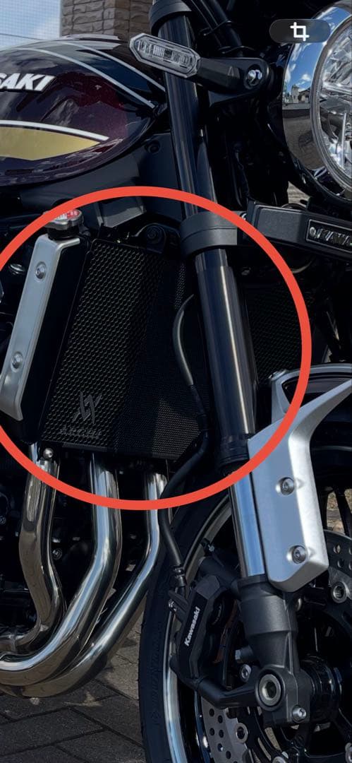 【送料込】Z900RS：ARCHI：アーキ ヘックス コアプロテクター