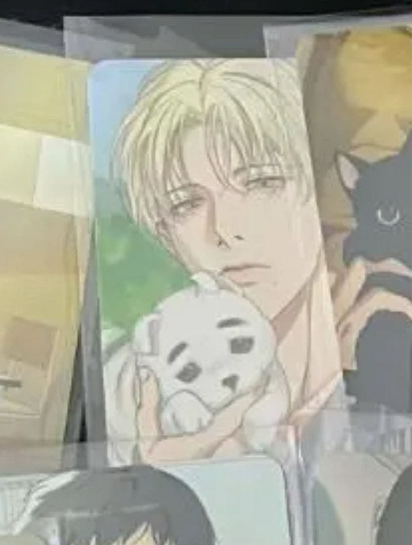 韓国BL バックライト Backlight 特典 トレカ