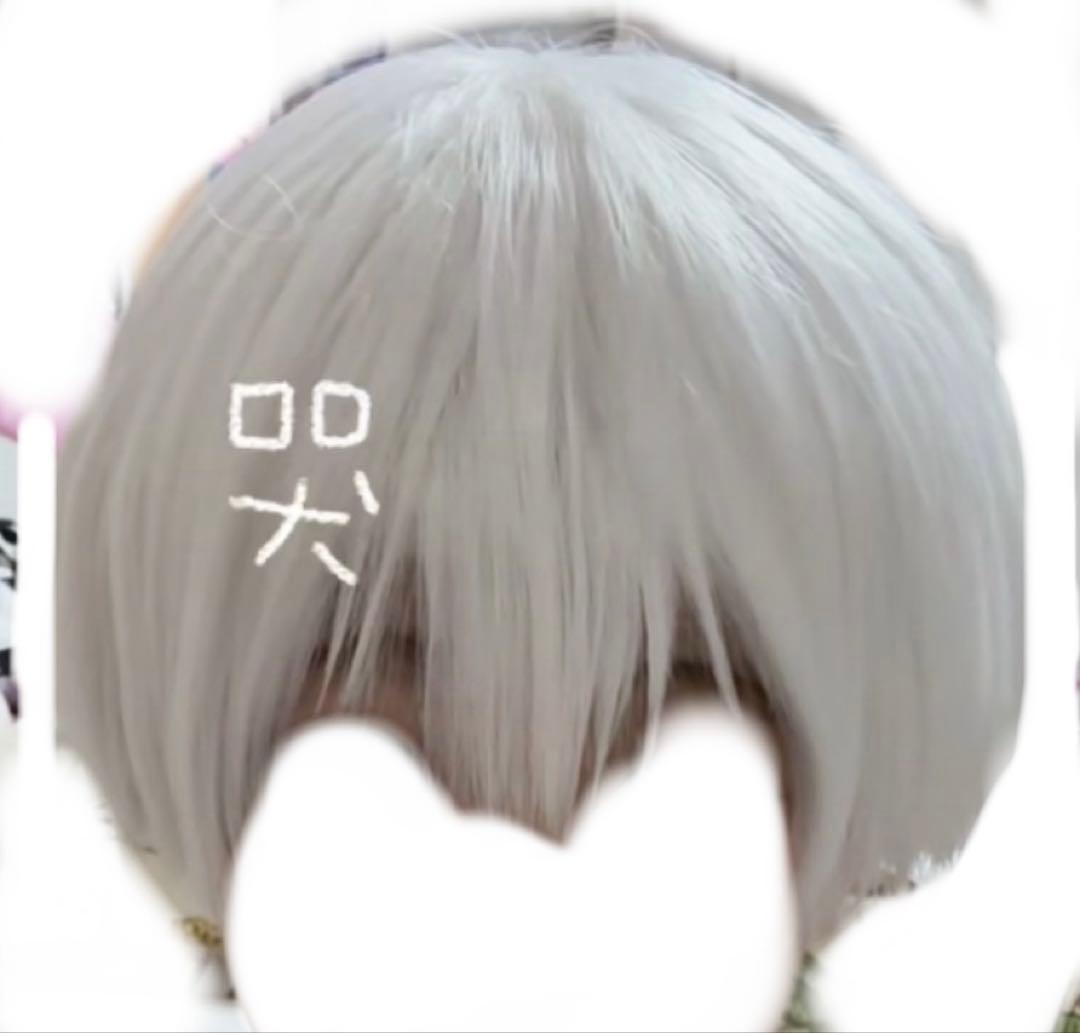 ドクターストーン羽京コスプレ衣装、ウィッグセット