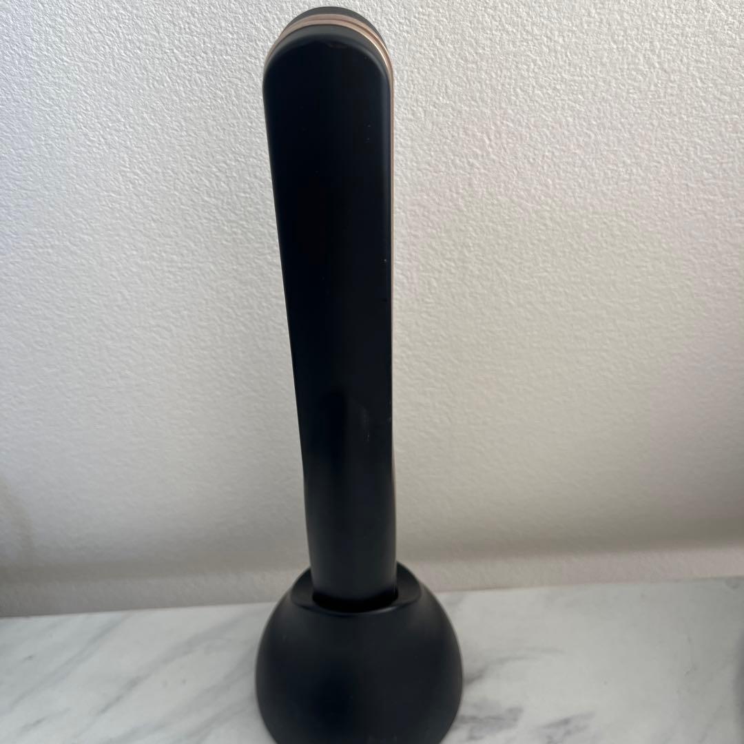 正規品　CAREPROケアプロ超音波アイロン　美容室トリートメント