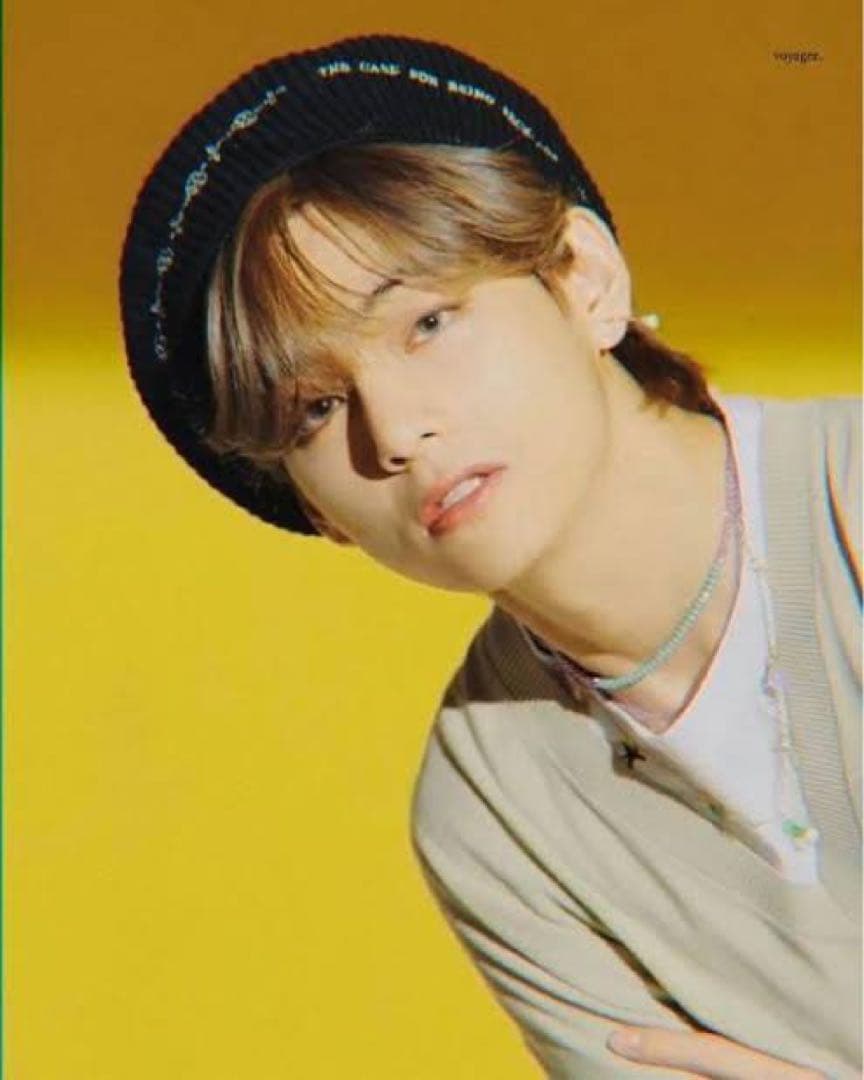 The H.W.DOG&Co. 2 tone berret ベレー帽 BTS