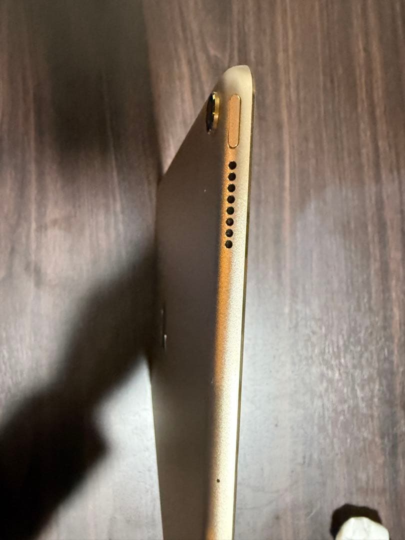 iPad Pro 10.5 Wi-Fi ゴールド256GB 【動作良好美品】