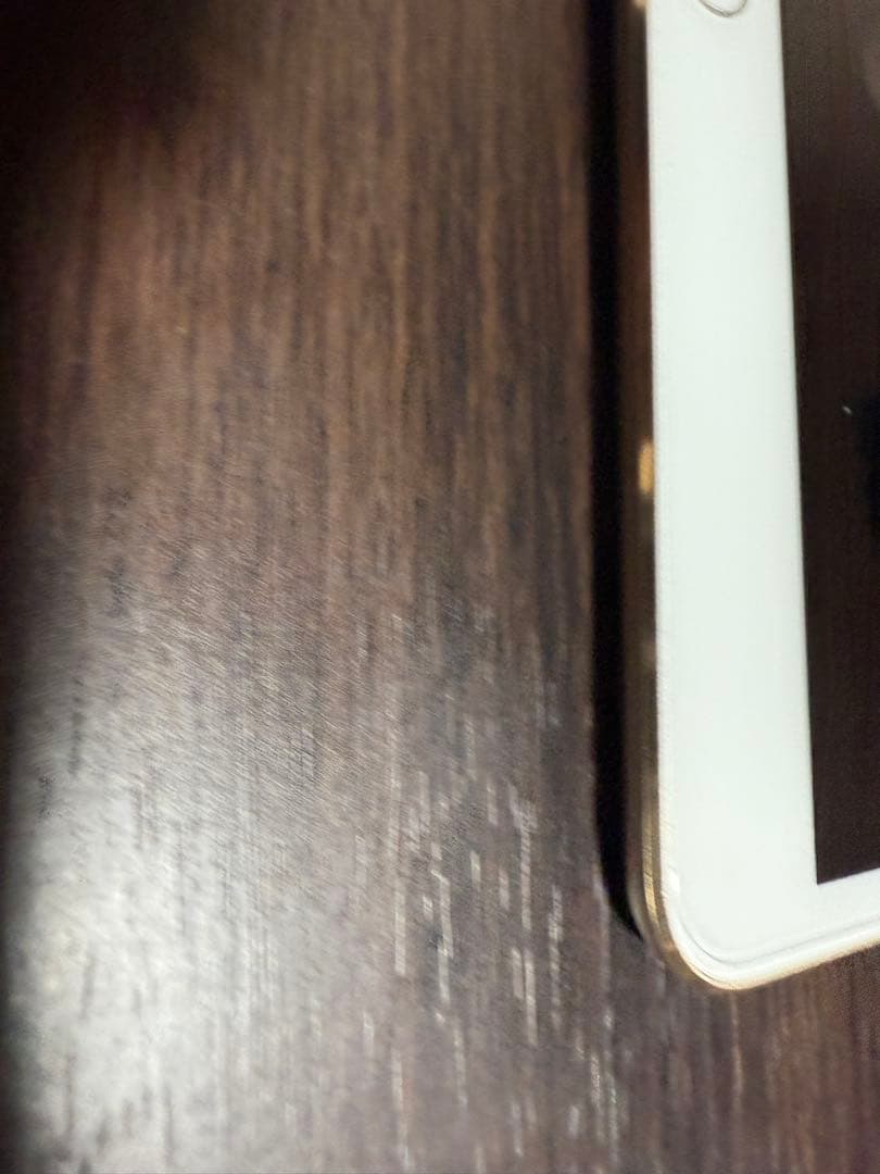 iPad Pro 10.5 Wi-Fi ゴールド256GB 【動作良好美品】