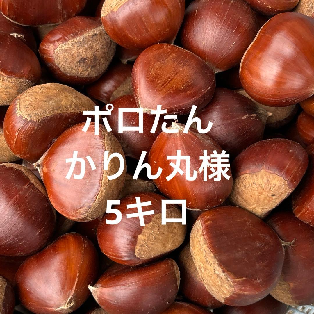 かりん丸様　ポロたん　5キロ