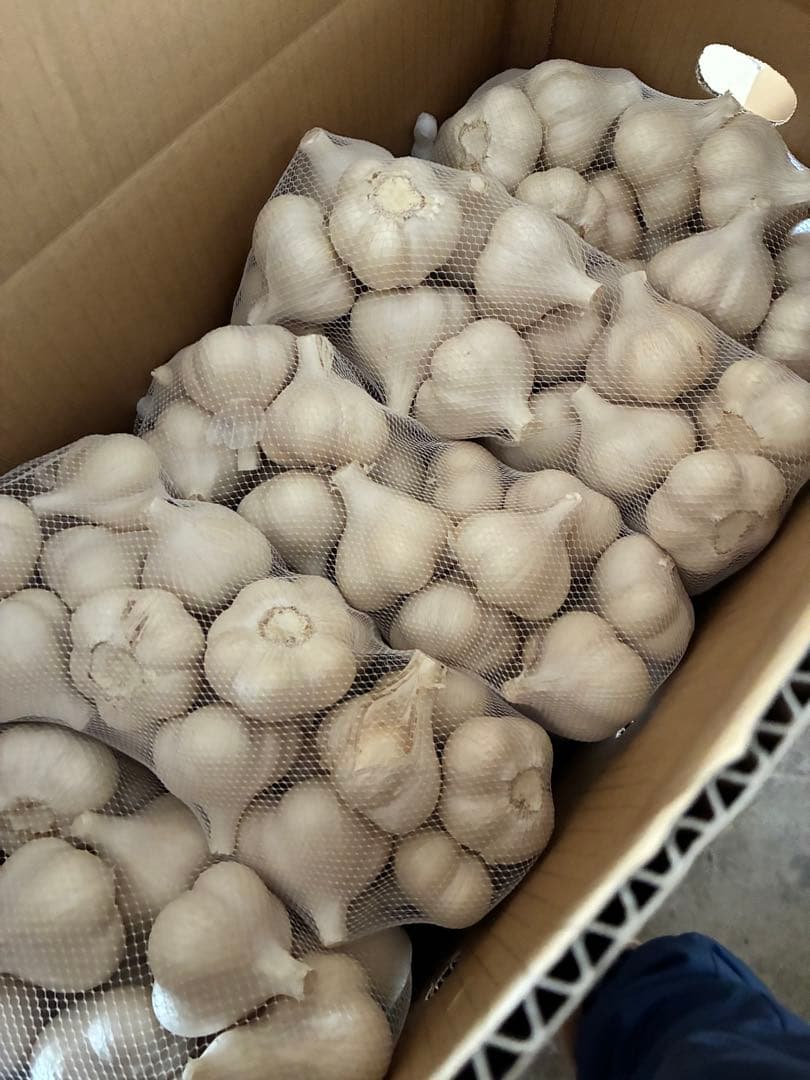 新物　青森県にんにく10Kg Ｌ　良品