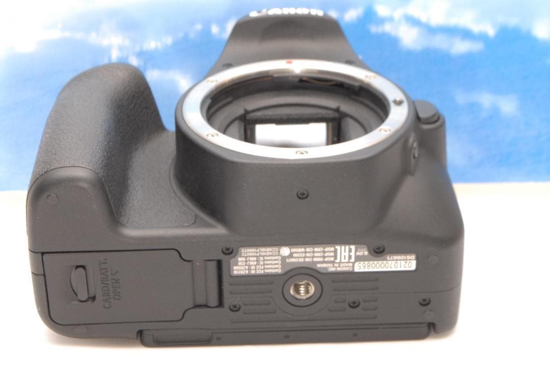 ✨スマホ転送✨キヤノン EOS Kiss X9 ダブル 手振れ補正 軽量 初心者