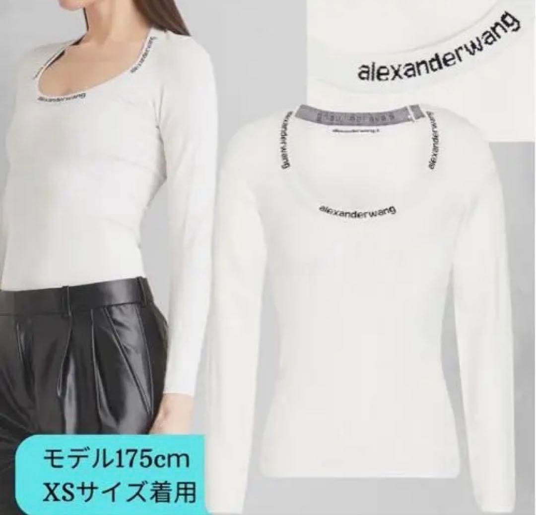 アレキサンダーワン　ニット　Alexander wan