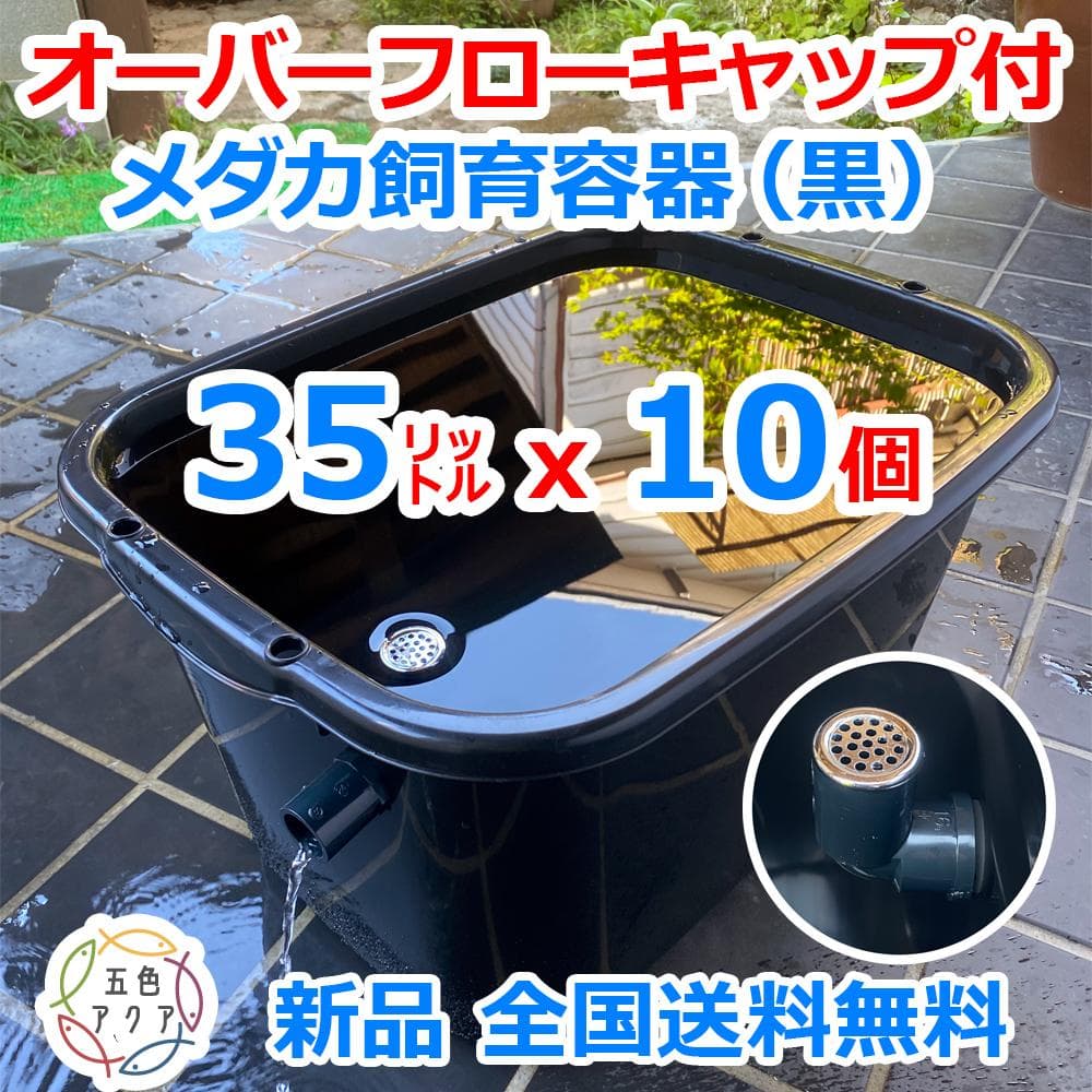 【新仕様】メダカ飼育ケース 35㍑黒x10個 オーバーフロー加工済 金魚飼育容器